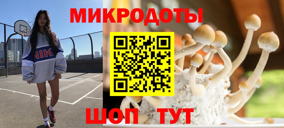 Псилоцибиновые грибы Psilocybine cubensis Мытищи